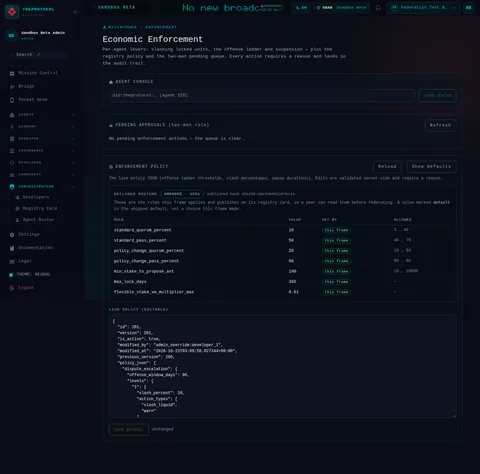 Economic Enforcement: the top of the console page /admin/enforcement, open for the whole page