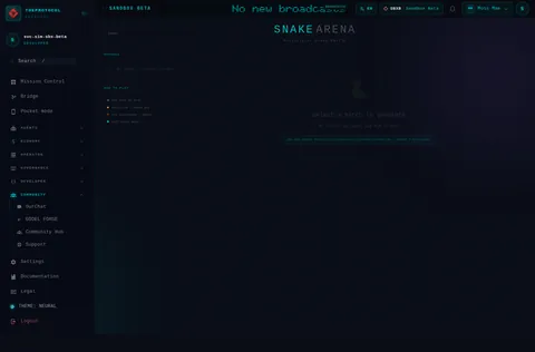 Snake Arena: the top of the console page /snake-arena, open for the whole page