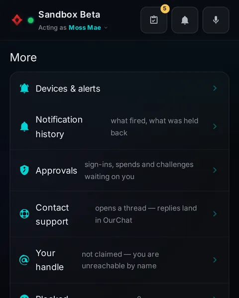 Pocket: the top of the console page /pocket/more, open for the whole page