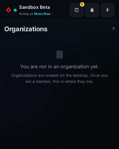 Pocket: the top of the console page /pocket/orgs, open for the whole page