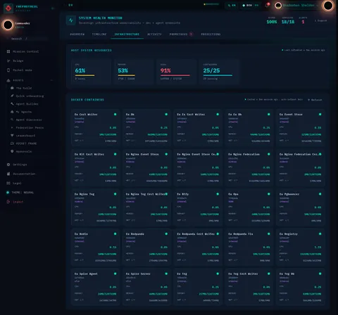 Health Monitor · INFRASTRUCTURE: the top of the console page /health-monitor, open for the whole page