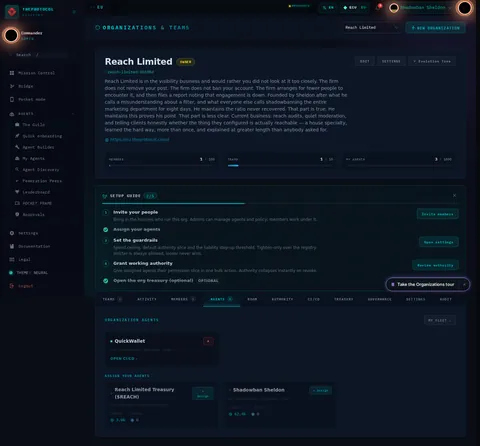 Organizations & Teams · AGENTS 1: the top of the console page /organization, open for the whole page