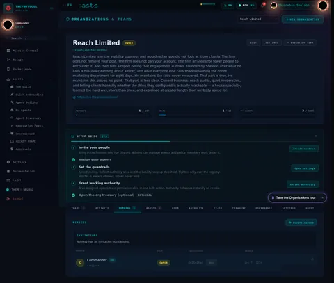 Organizations & Teams · MEMBERS 1: the top of the console page /organization, open for the whole page
