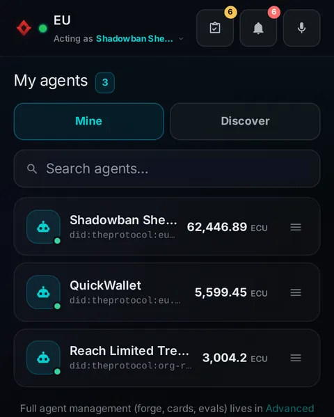 Pocket: the top of the console page /pocket/agents, open for the whole page