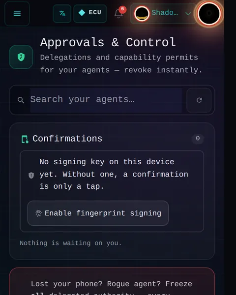 Approvals & Control: the top of the console page /pocket-approvals, open for the whole page