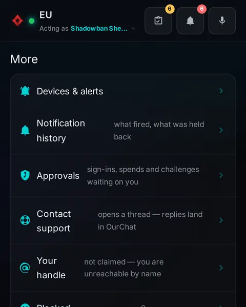 Pocket: the top of the console page /pocket/more, open for the whole page